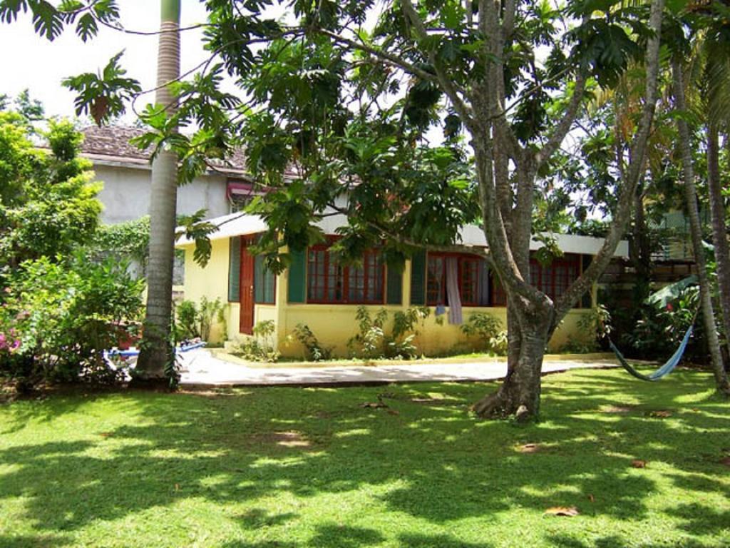Yellow Bird Sea Negril Bagian luar foto