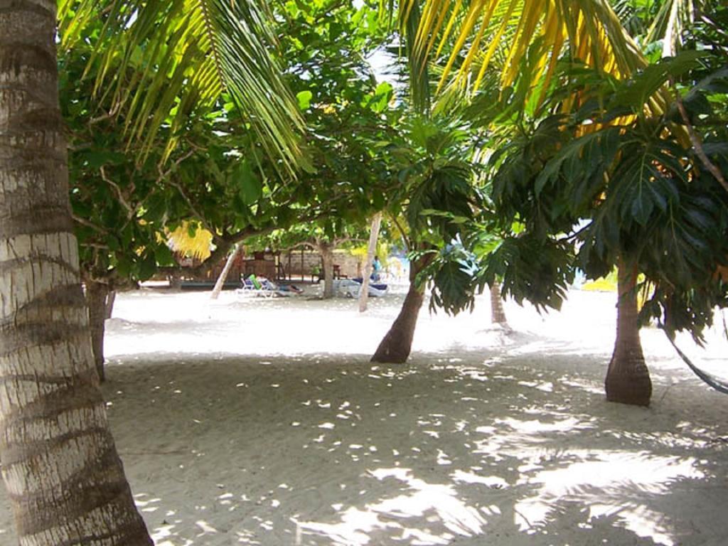Yellow Bird Sea Negril Bagian luar foto